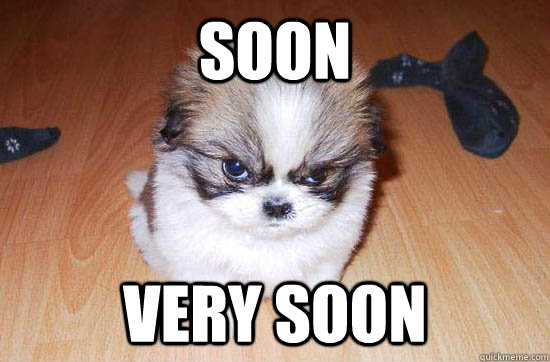 Soon Dog memes | quickmeme