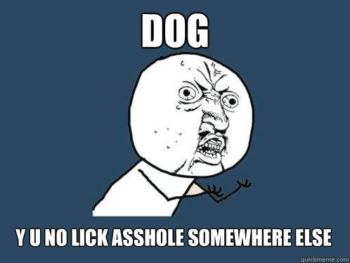 DOG y u no LICK ASSHOLE SOMEWHERE ELSE  Y U No