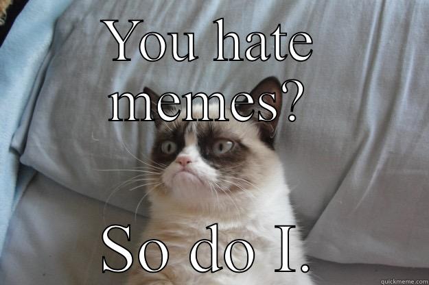 YOU HATE MEMES? SO DO I. Grumpy Cat