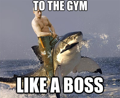 to the gym like a boss  