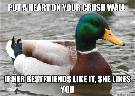 Put a heart on your crush wall if her bestfriends like it, she likes you  Actual Advice Mallard