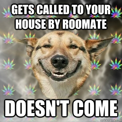 Gets called to your house by roomate Doesn't come  Stoner Dog