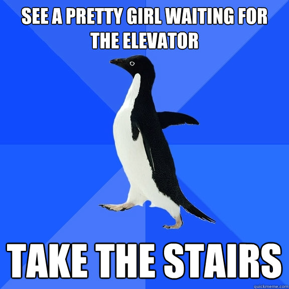 See a pretty girl waiting for the elevator Take the stairs  Socially Awkward Penguin