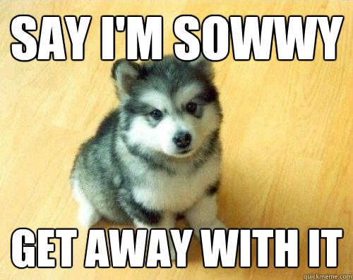say i'm sowwy get away with it  Baby Courage Wolf