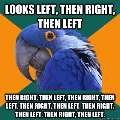looks left, then right, then left then right, then left, then right, then left, then right, then left, then right, then left, then right, then left,  - looks left, then right, then left then right, then left, then right, then left, then right, then left, then right, then left, then right, then left,   Paranoid Parrot