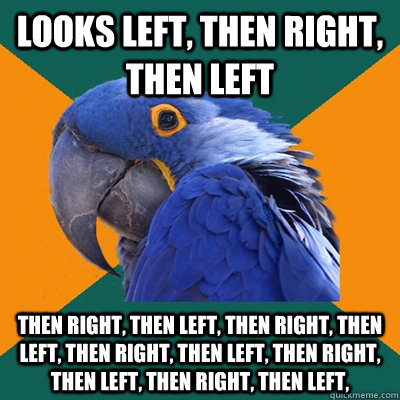 looks left, then right, then left then right, then left, then right, then left, then right, then left, then right, then left, then right, then left,   Paranoid Parrot