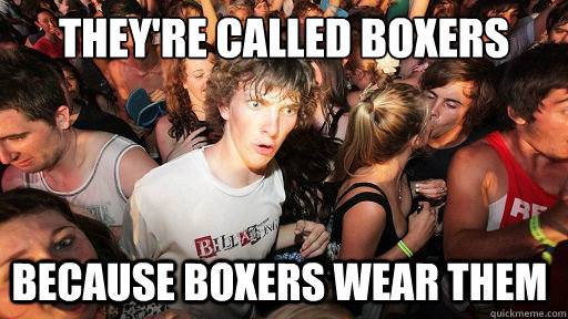 They're called boxers Because Boxers wear them  Sudden Clarity Clarence