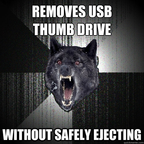 Removes USB 
thumb drive without safely ejecting - Removes USB 
thumb drive without safely ejecting  Insanity Wolf