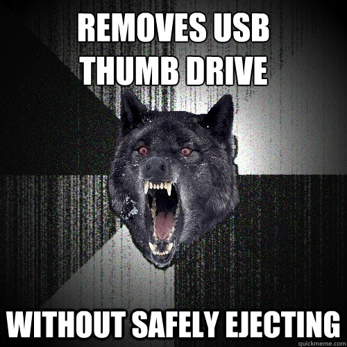 Removes USB 
thumb drive without safely ejecting  Insanity Wolf