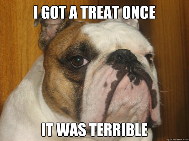 I got a treat once it was terrible - I got a treat once it was terrible  Pompous Bulldog