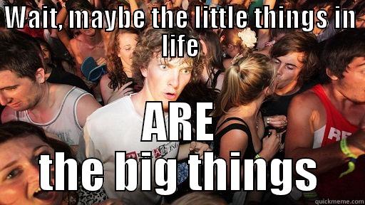WAIT, MAYBE THE LITTLE THINGS IN LIFE ARE THE BIG THINGS Sudden Clarity Clarence