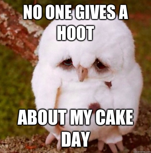 No one gives a hoot About my Cake Day - No one gives a hoot About my Cake Day  Misc