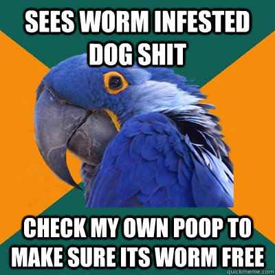 Sees worm infested dog shit Check my own poop to make sure its worm free  Paranoid Parrot