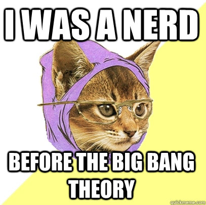 I was a Nerd before The Big Bang Theory  Hipster Kitty