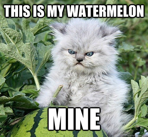 THIS IS MY WATERMELON MINE - THIS IS MY WATERMELON MINE  Das ist meine Wassermelone