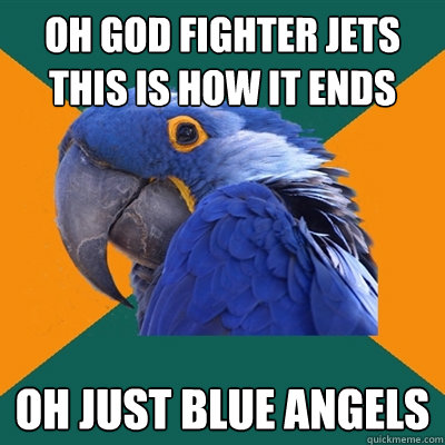 Oh God fighter jets this is how it ends oh just blue angels   Paranoid Parrot
