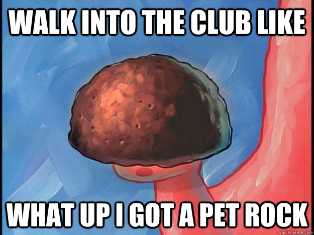 walk into the club like what up i got a pet rock - walk into the club like what up i got a pet rock  Misc