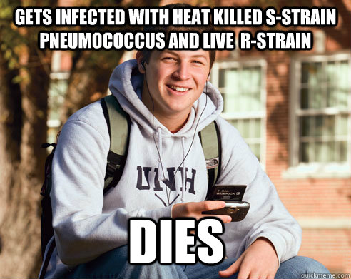 GETS INFECTED WITH HEAT KILLED S-STRAIN pneumococcus AND LIVE  R-STRAIN DIES  College Freshman