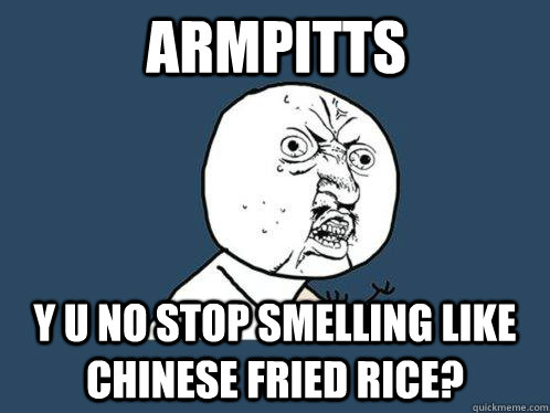 ARMPITTS y u no Stop smelling like chinese fried rice?     Y U No