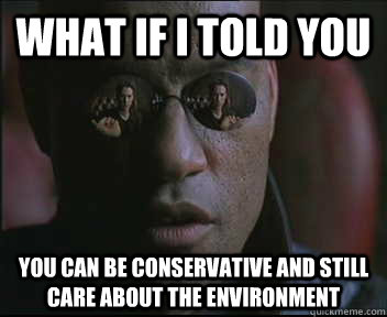 What if I told you you can be conservative and still care about the environment  Morpheus SC