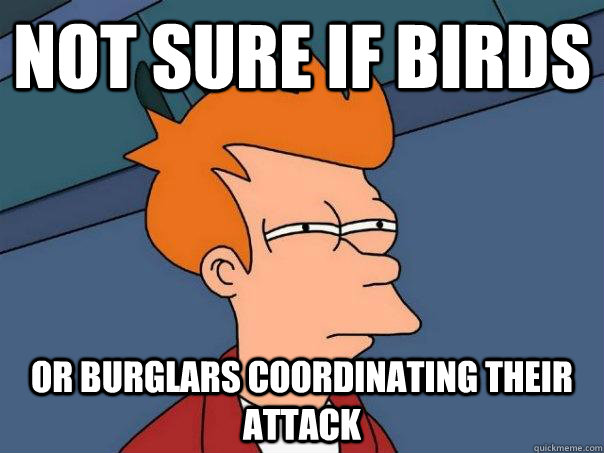 Not sure if birds Or burglars coordinating their attack - Not sure if birds Or burglars coordinating their attack  Futurama Fry