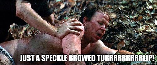 Just a speckle browed turrrrrrrrrlip!   Deliverance Rape Scene
