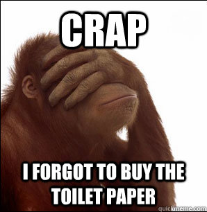 Crap I forgot to buy the toilet paper  Sudden Realisation Orangutan