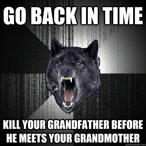 go back in time kill your grandfather before he meets your grandmother  Insanity Wolf