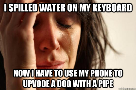 i spilled water on my keyboard now i have to use my phone to upvode a dog with a pipe  First World Problems