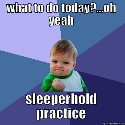 WHAT TO DO TODAY?...OH YEAH SLEEPERHOLD PRACTICE Success Kid