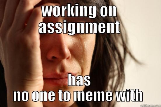 WORKING ON ASSIGNMENT HAS NO ONE TO MEME WITH  First World Problems
