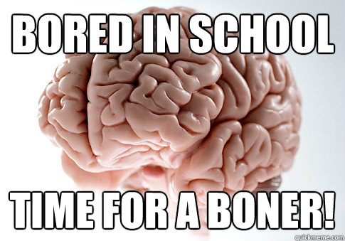 Bored in school Time for a boner!  Scumbag Brain