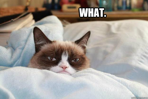 WHAT. - WHAT.  Grumpycat What