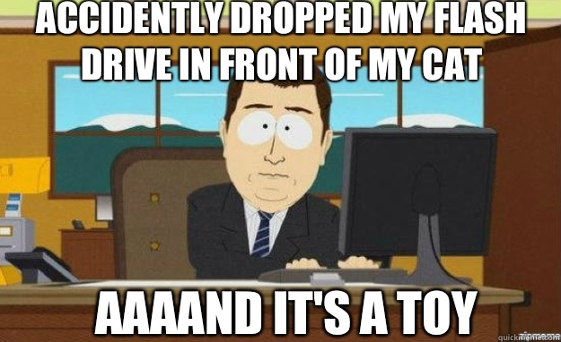 Accidently dropped my flash drive in front of my cat  AAAAND it's a toy  aaaand its gone