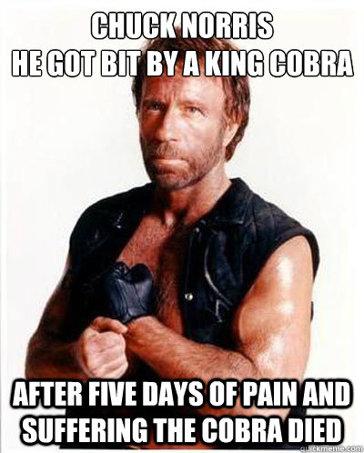 Chuck Norris
He got bit by a king cobra After five days of pain and suffering the cobra died  Chuck Norris