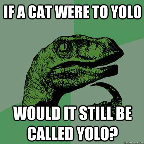 If a cat were to Yolo  Would It still be called yolo?  Philosoraptor