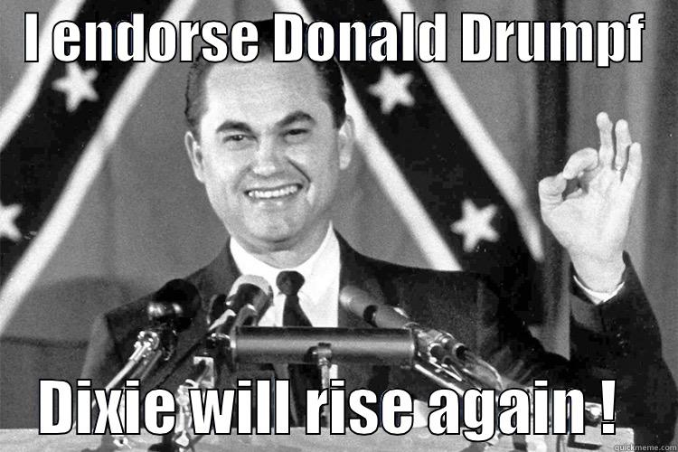   I ENDORSE DONALD DRUMPF        DIXIE WILL RISE AGAIN !     Misc