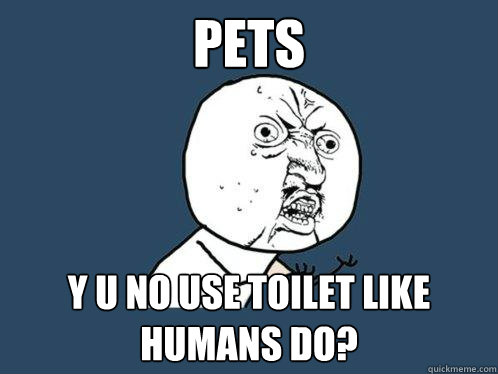 pets y u no use toilet like humans do?  Y U No