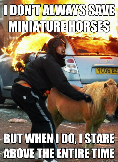 I DON'T ALWAYS SAVE MINIATURE HORSES BUT WHEN I DO, I STARE ABOVE THE