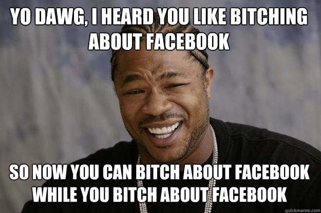 yo dawg, I heard you like bitching about facebook so now you can bitch about facebook while you bitch about facebook  Xzibit meme