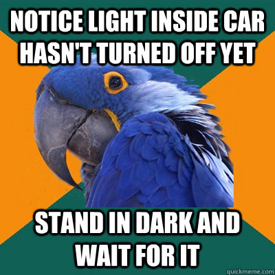 notice light inside car hasn't turned off yet stand in dark and wait for it  Paranoid Parrot