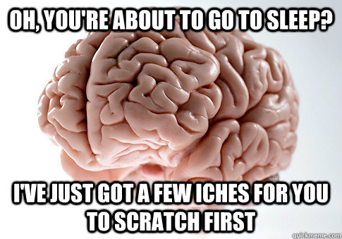 Oh, you're about to go to sleep? I've just got a few iches for you to scratch first  Scumbag Brain