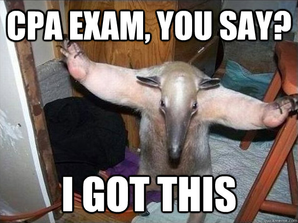 CPA exam, you say? I got this  I got this