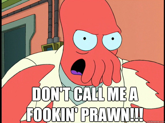 DON'T CALL ME A FOOKIN' PRAWN!!!  Lunatic Zoidberg