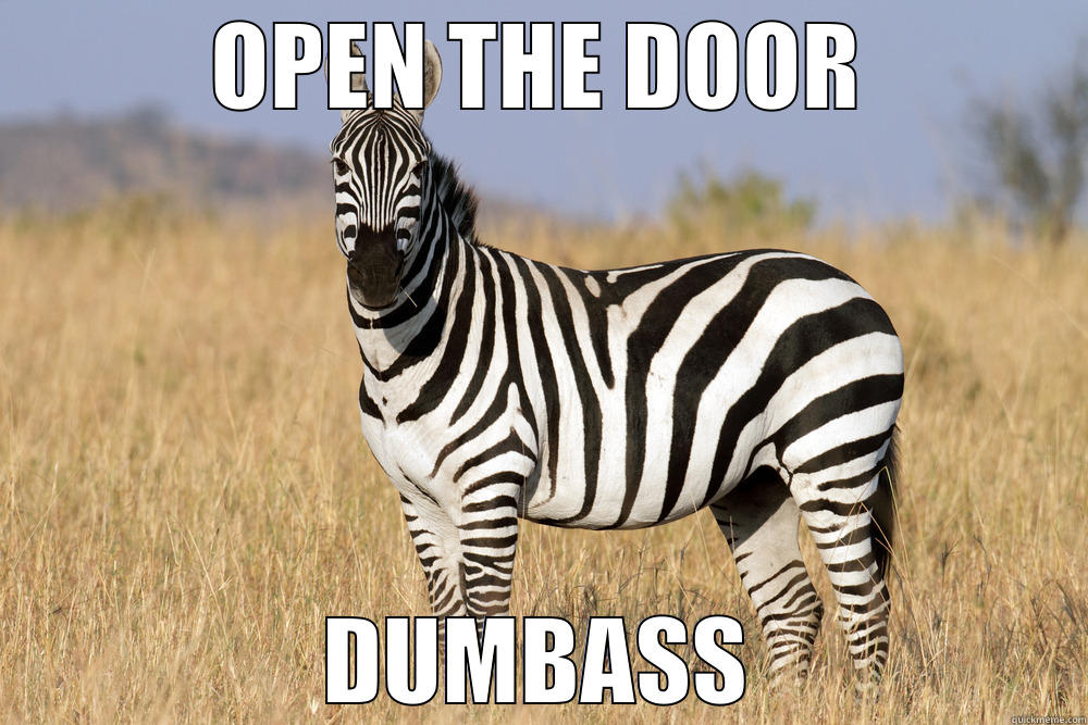 OPEN THE DOOR DUMBASS Misc