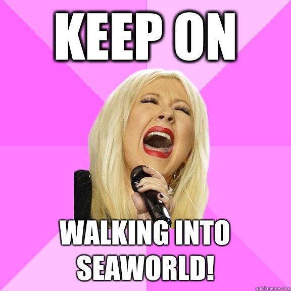Keep on Walking into Seaworld!  Wrong Lyrics Christina