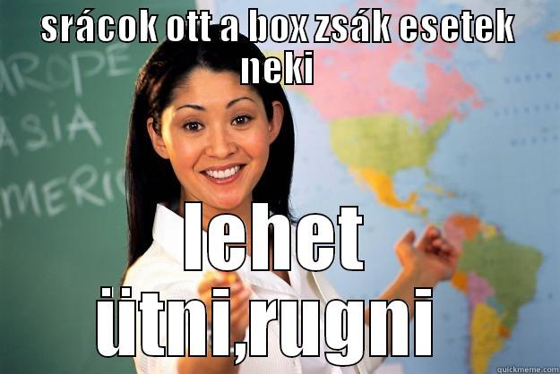 SRÁCOK OTT A BOX ZSÁK ESETEK NEKI LEHET ÜTNI,RUGNI  Unhelpful High School Teacher