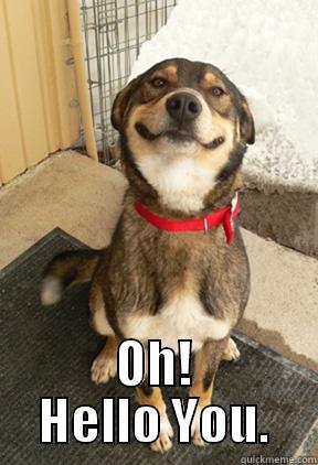  OH! HELLO YOU. Good Dog Greg