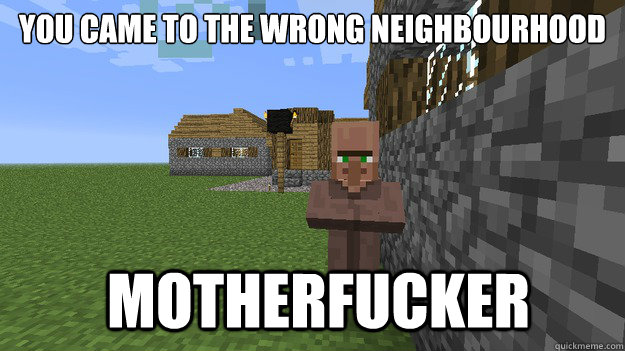 You came to the wrong neighbourhood Motherfucker  MINECRAFT VILLAGER MEME THING