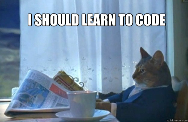 I should learn to code  Sophisticated Cat